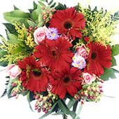 Gửi Đặc biệt về ViệtNam, gửi  đến Sài gòn, gửi Đặc biệt đến Thành Phố Hồ Chí Minh. Dịch vụ gửi quà tận nơi, giao quà trong ngày,giao hoa và quà qua mạng, gửi Đặc biệt đến người thân ở Sài gòn, Hà nội, Nha trang, Vũng tàu, Bảo lộc, Biên hòa, Thừa thiên huế, Vĩnh long, Long an, Bảo lộc, An giang, Cần thơ.
