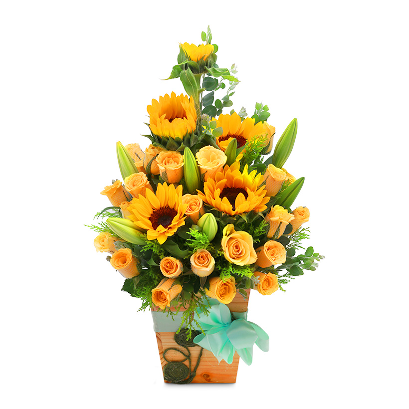 Gợi ý cách chọn quà tặng thầy cô nhân ngày 20/11 - ảnh 1 Gợi ý cách chọn quà tặng thầy cô nhân ngày 20/11 - ảnh 1